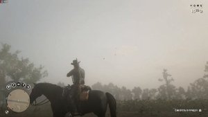RDR 2 online Ежедневное испытание: Розовая колпица