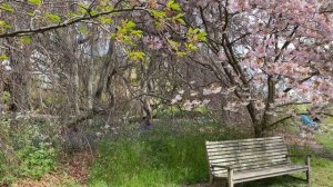 Kew Gardens London. UNESCO world-leading botanic garden.