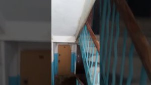 Течёт крыша в подъезде Нижний Новгород Заломова 8. Съёмка 07.02.2019.