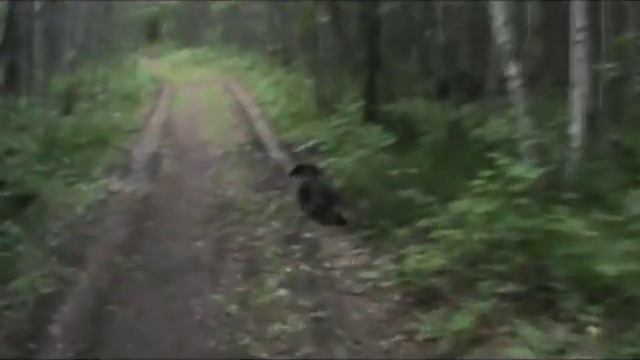 Что делать если нет желания искать себе работу, но надо! смотреть онлайн