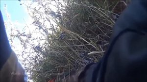 Новое! Украина сепары попались