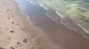 Клайпеда VLOG ? | НУДИСТСКИЙ ПЛЯЖ ?