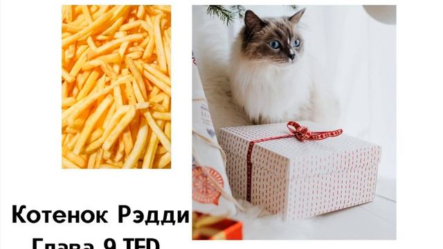 Котенок Рэдди. Глава 9. TED смотреть онлайн