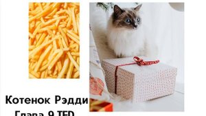 Котенок Рэдди. Глава 9. TED