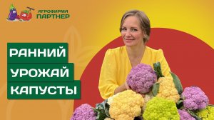 КАК ПОЛУЧИТЬ УРОЖАЙ КАПУСТЫ В МАЕ