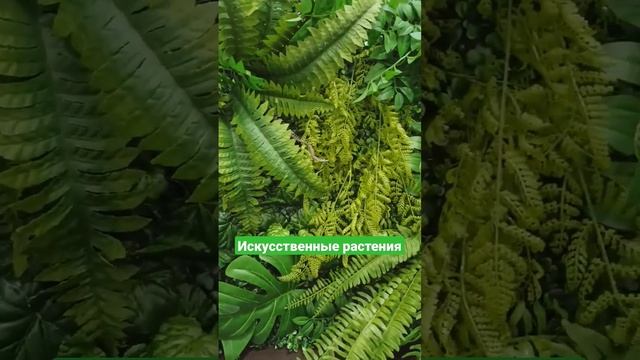 Искусственные растения #озеленение #фитостены #вертикальноеозеленение #искусственныерастения