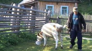 Усть-Анзас. Горная Шория