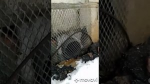 Буржуйка Как повысить эффективность буржуйки Как повысить КПД буржуйки DIY How to improve logstove