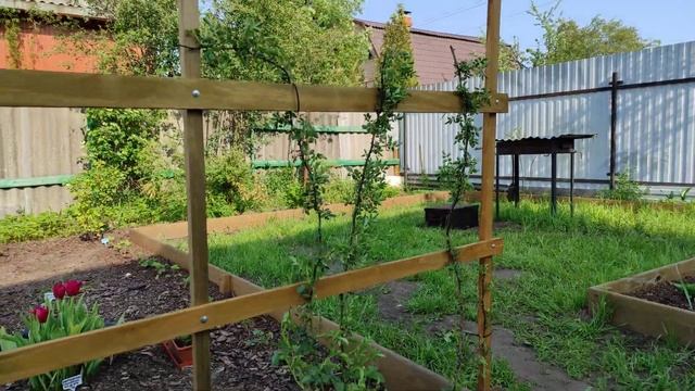 Шпалера своими руками для плетистой розы. "Сенеж". смотреть онлайн