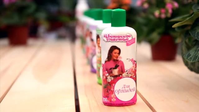 Цветочное счастье - комплексный уход за комнатными растениями.