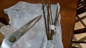 ПОСЛЕДНЯЯ?? ПОСЫЛКА В ЭТОМ ГОДУ ??ИЗ ПИТОМНИКА ОЛЬГА-РОЗЫ ?????