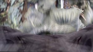 Капустоуборочный комбайн ASA-Lift TK 1000 XL Уборка капусты.