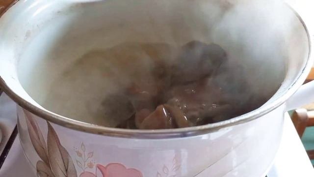 Маринованные опята на зиму. Как выглядят грибы опята