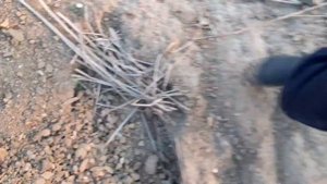 за закладкой:)