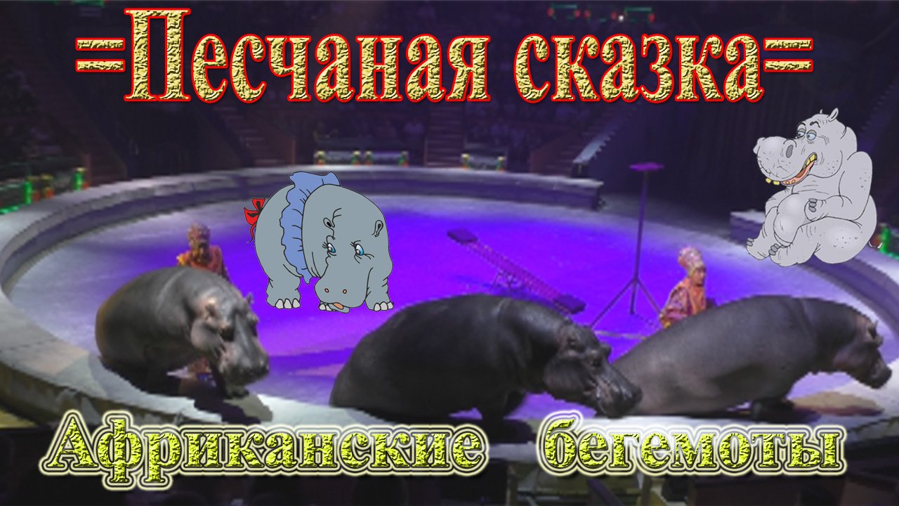 Шоу Гии Эрадзе =Песчаная сказка=. Африканские бегемоты Тофика Ахундова.