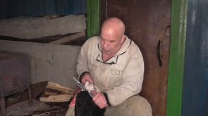 Делаем сыромятину Урок1 СРЕЗАЕМ ШЕРСТЬ и ПРИРЕЗИ МЯСА Канал Таёжная обитель Николая Абоимова