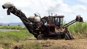 ТЕХНИКА И ТЕХНОЛОГИИ СЕЛЬСКОГО ХОЗЯЙСТВА #107 Lucky Tech