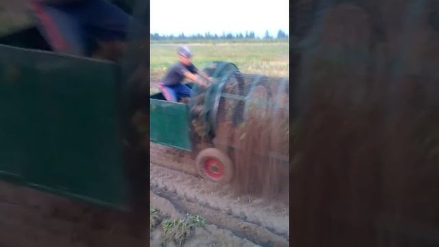 Самодельный миникомбайн для уборки картошки.