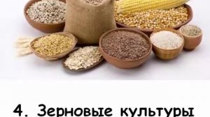 Лучшая приманка для мышей в мышеловке