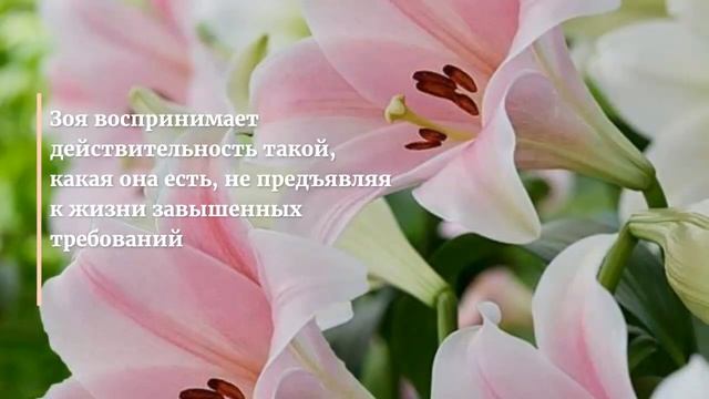 Лилия цветок имени Зоя смотреть онлайн