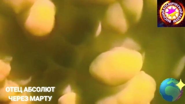 28.07.23 ? ОКНО В НОВЫЙ МИР (НЕСОСТОЯТЕЛЬНОСТЬ И АБСУРДНОСТЬ КЛИМАТИЧЕСКОЙ ПОВЕСТКИ) ОТЕЦ АБСОЛЮТ.