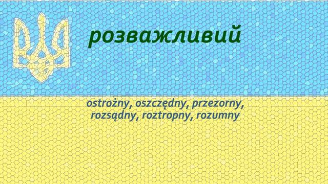   Słownik ukraińsko-polski О-Я - Українсько-польський словник О-Я  ukraina językukraiński