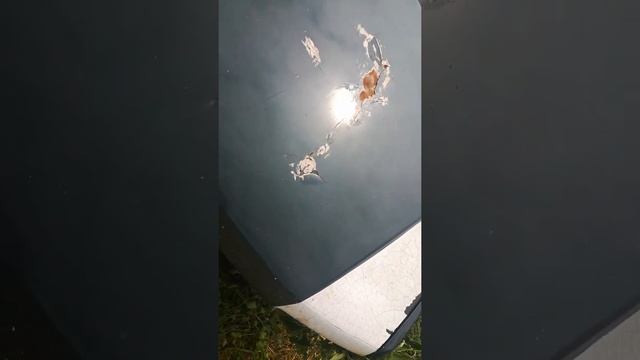 Отзыв пежо 605 смотреть онлайн