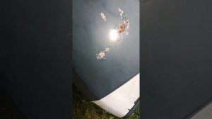 Отзыв пежо 605