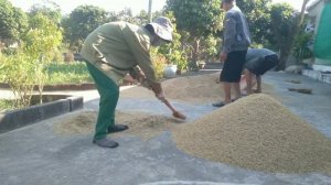 жизнь сельского фермера