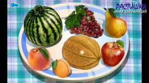 КТО ЕСТЬ КТО? ФРУКТЫ. УЧИМ СЛОВА по картинкам. ПЕРВЫЕ слова для детей.