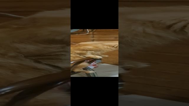 20230820_221818.mp4