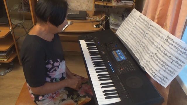 Secret Garden. Elan. Методический комментарий к аранжировке. смотреть онлайн