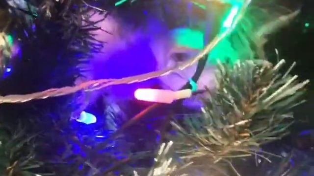 Классика :Кот и Елка??Коты Роняют Елки?Эти котики рулят?Коты 2023#ChristmasTree #Funny#Cats#kittens