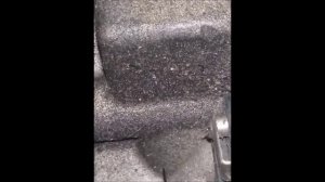 2002 Ford Focus (LR) Speed Sensor replacement - DIY