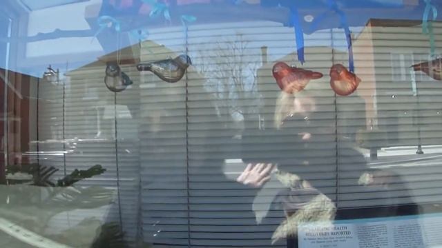 236. Иммиграция Канада. Мы гуляем по городу Маркхам. смотреть онлайн