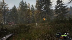 theHunter: Call of the Wild ГАЙД ? ОБЗОР ЗАКАЗНИКА ЛЕЙТОН: животные, обмундирование, зоны обитания.