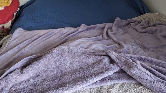 Мистер Страшилкин научился рыть норы в пледах и прятаться смотреть онлайн