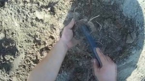 Поиск артефактов с металлоискателем....