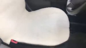 деревянные накидки на сиденья автомобиля - видео обзор накидок на сиденья