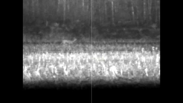 iRay xEye E3W и PARD DS35-70 LRF на 100 и 400метров.