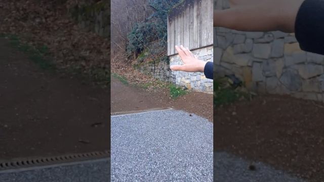 Поход в горы 🇨🇭 Украинцы в Швейцарии 🇨🇭 Реальная жизнь.
