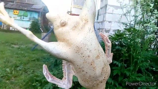 Забой муларда смотреть онлайн