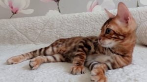 Вы долго будете меня снимать? Долго?