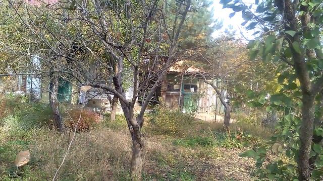 Дача п. Знаменский ( Краснодар) снт Железнодорожник 1150000 смотреть онлайн