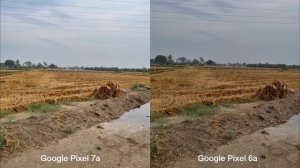 Google Pixel 7a vs Google Pixel 6a Camera Test