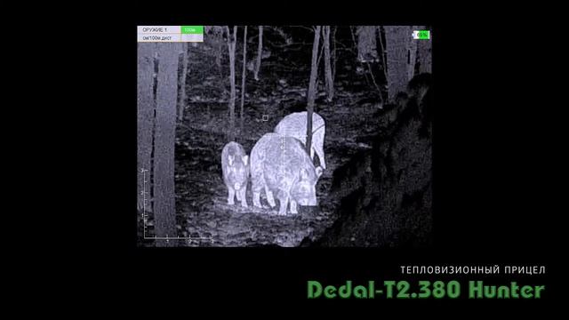 Реальный опыт использования тепловизора Dedal-T2.380 Hunter Часть 1 смотреть онлайн