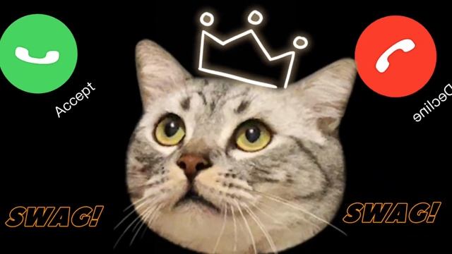 ? Apple Ringtone , cats iPhone pro, iphone , Cat Ringtone 15:00 #iPhone #cat ep10 смотреть онлайн