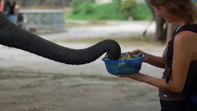 Отдых в Паттайе смотреть онлайн