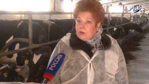 Грандиозные планы. Открытие новой фермы в Волошово как часть большого процесса.
