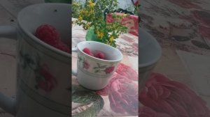 Свойства многих лечебных трав. Список , перечень полезных свойств.